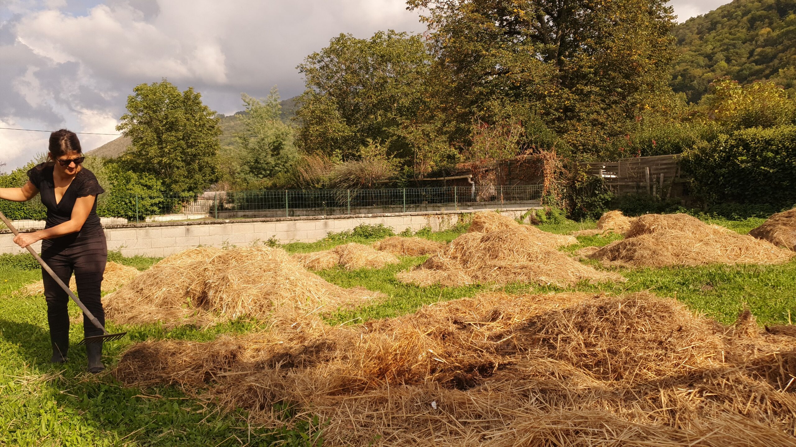 La paille de la grange pour le future potager